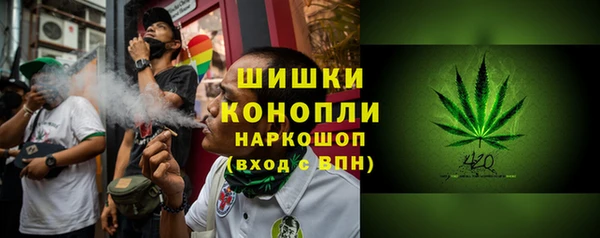 PSILOCYBIN Бородино