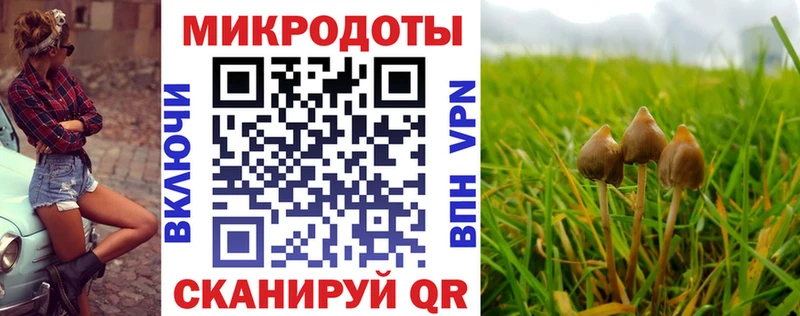 хочу наркоту  Заозёрный  блэк спрут ссылки  Галлюциногенные грибы Cubensis 